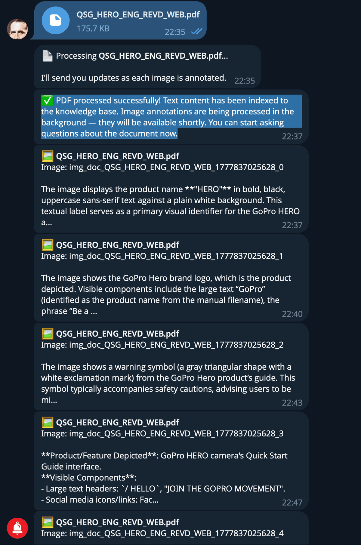 GoPro HERO PDF uploaded to Telegram — processing starts, text indexed, first 4 images annotated with AI vision descriptions